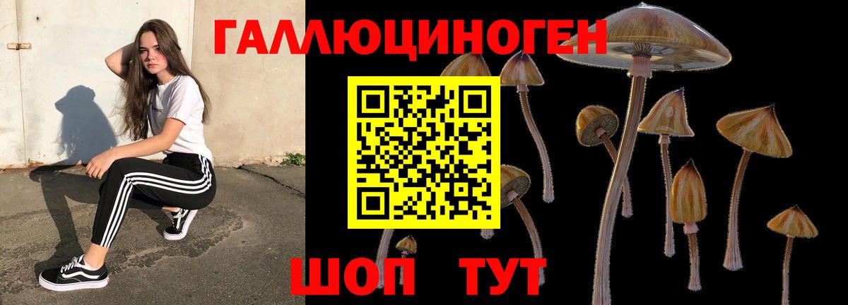 наркошоп  Псилоцибиновые грибы мухоморы  Междуреченск  Вход с VPN  Галлюциногенные грибы Psilocybine cubensis 